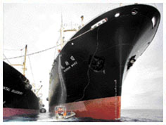 SHIPPING INDUSTRY SKIRTBOARD RUBBER SHIPPING INDUSTRY SKIRTBOARD RUBBER
